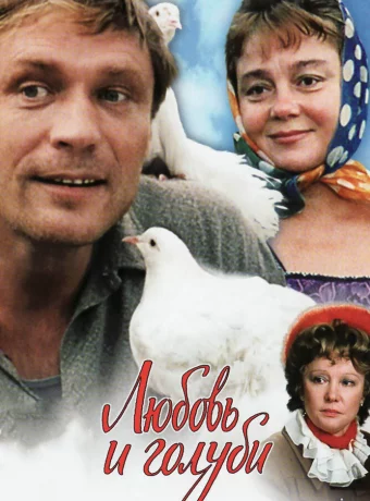 Любовь и голуби