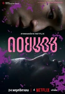 Дой-Бой