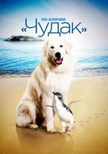 По кличке «Чудак»