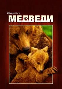 Медведи