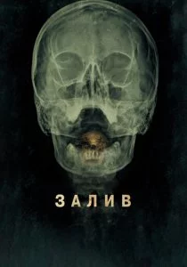 Залив