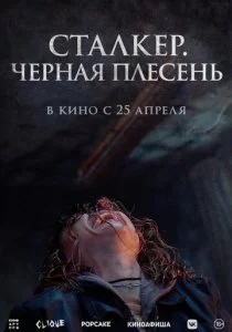 Сталкер. Черная плесень