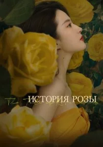 История розы